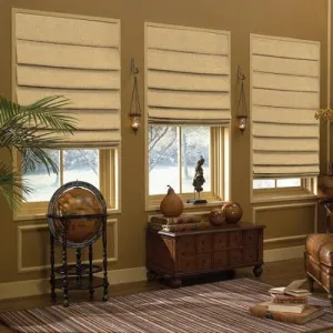 Basic Roman Shades