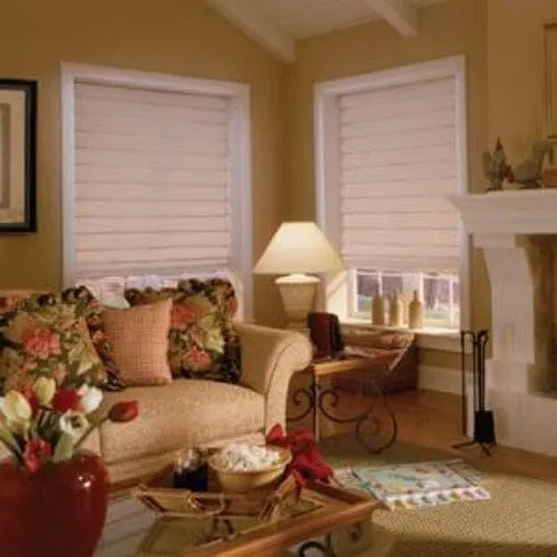 Basic Roman Shades