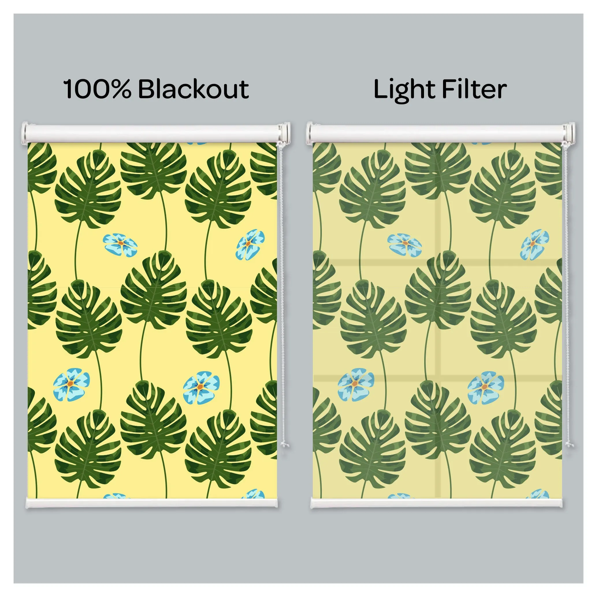 Monstera Borsigiana Aurea Marmorata Print Window Roller Shade