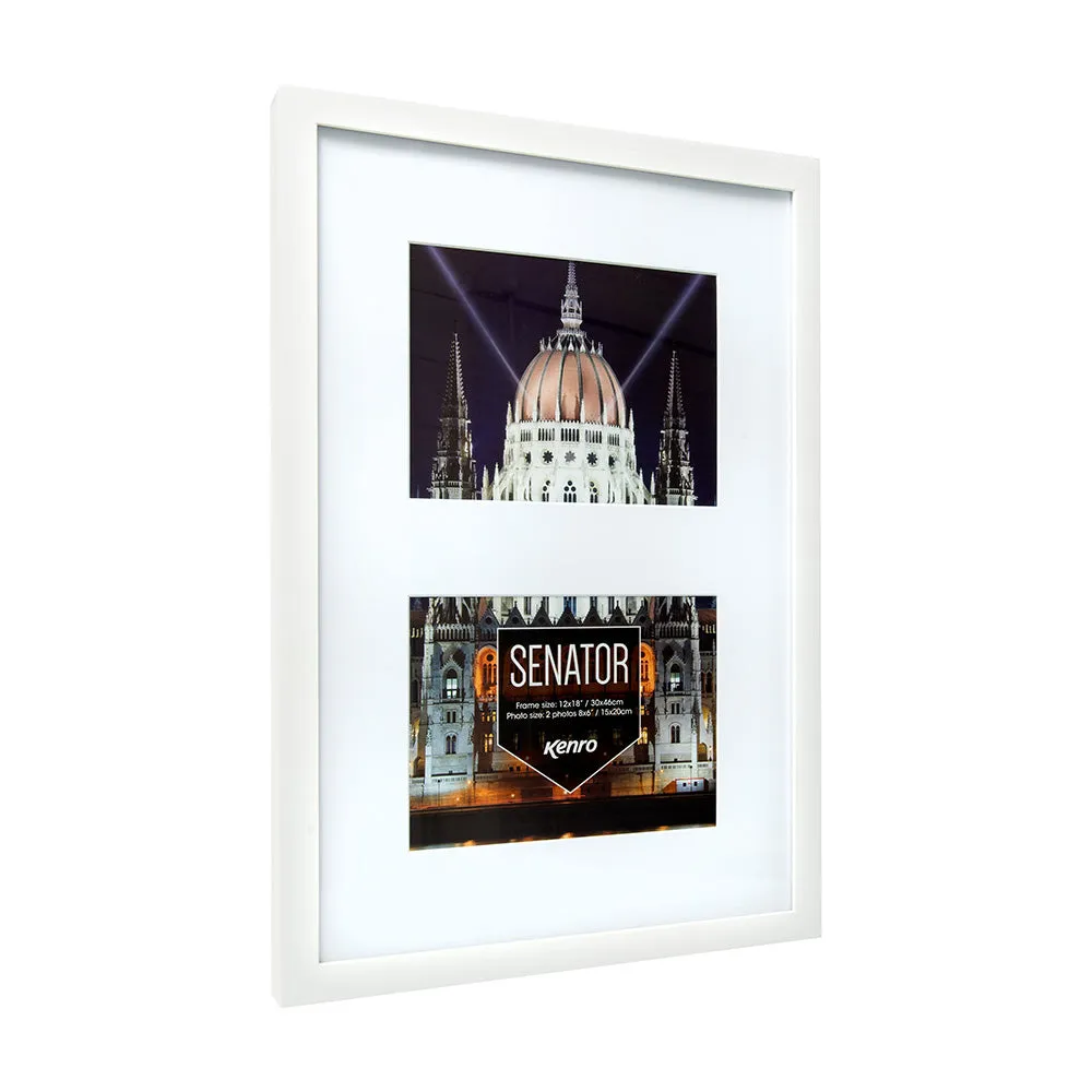 Senator Series (White)