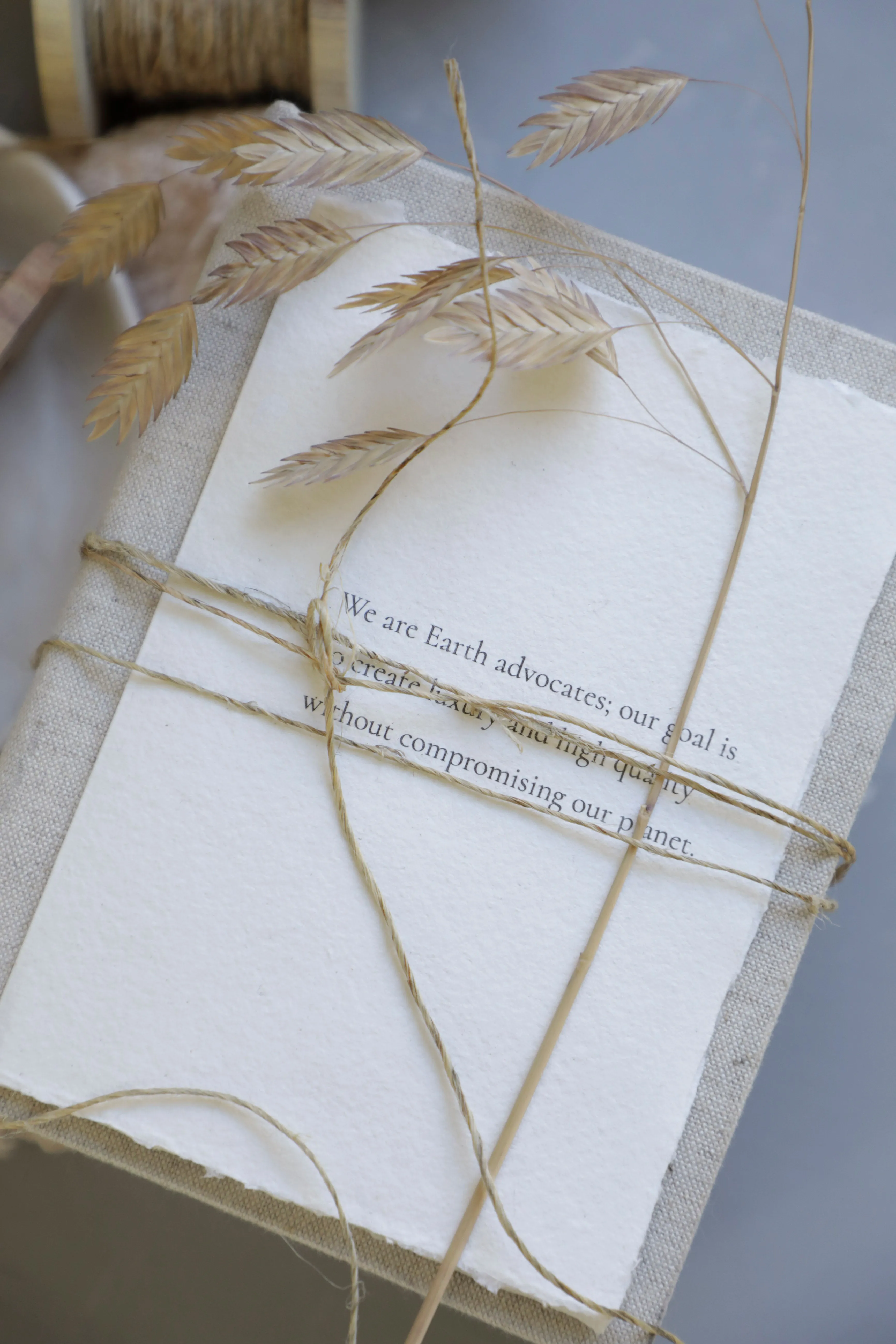 Twine / Organic Hemp